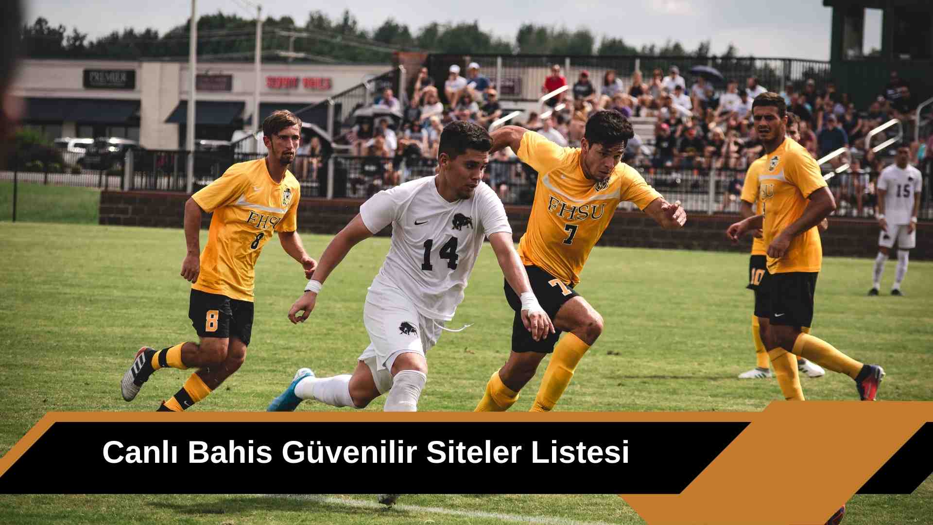 Canlı Bahis Güvenilir Siteler Listesi